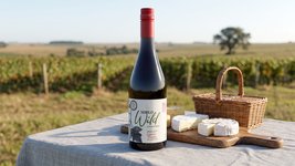 Miolo Wild Gamay / Reserva Gamay