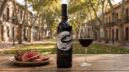 Estímulo Private Malbec (Antigal)