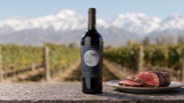 Hinojosa Ancestral Tempranillo