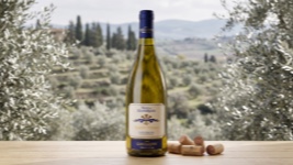 Massi di Mandorlaia Vermentino IGT