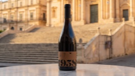Nero d'Avola Estate 1958 Sicilia DOC (Settesoli)