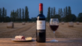 Château La Rose Gadis Bordeaux Rouge