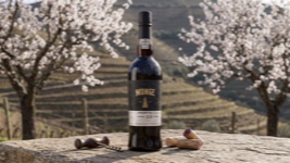 Porto Monge Tawny 10 Anos (Adega de Favaios)